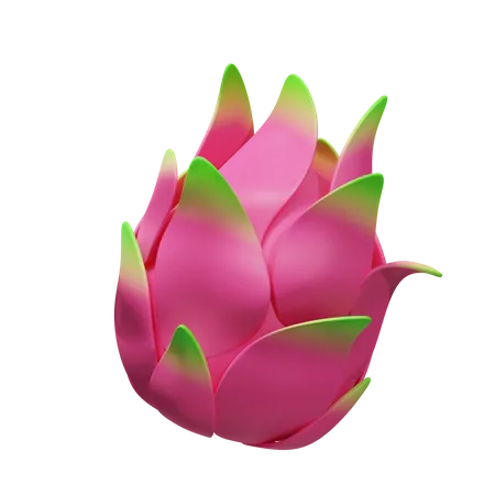 Drachenfrucht  3D Illustration