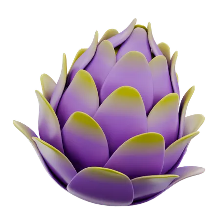 Dragon Fruit  3D Icon