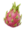 Dragon Fruit