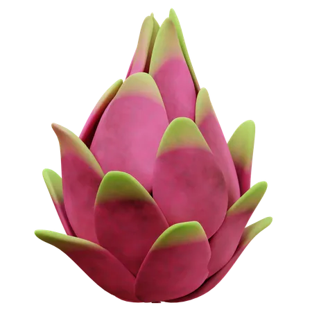 Dragon Fruit  3D Icon