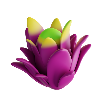 Dragon Fruit  3D Illustration