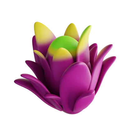 Dragon Fruit  3D Illustration