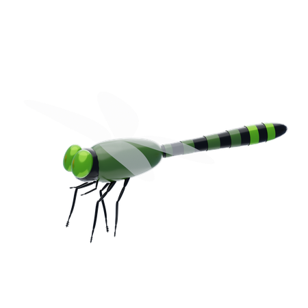 Dragonfly  3D Icon