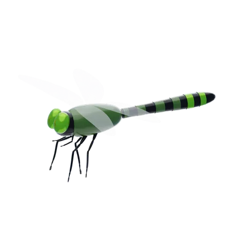 Dragonfly  3D Icon