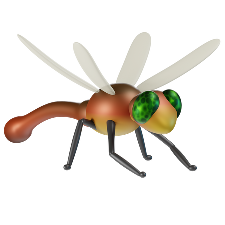 Dragonfly  3D Icon