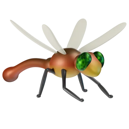 Dragonfly  3D Icon