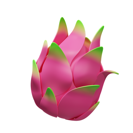 Dragonfruit  3D Illustration