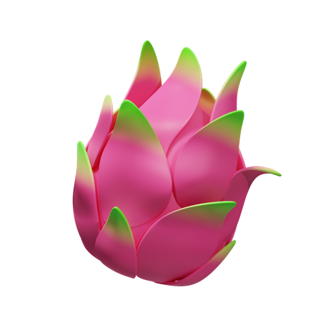 Dragonfruit  3D Illustration