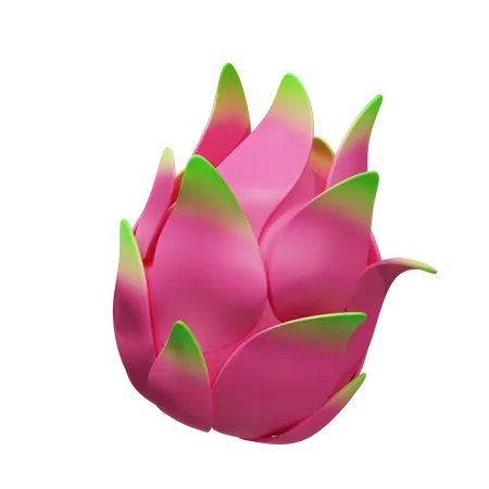 Dragonfruit  3D Illustration