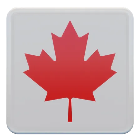 Drapeau carré du Canada  3D Icon