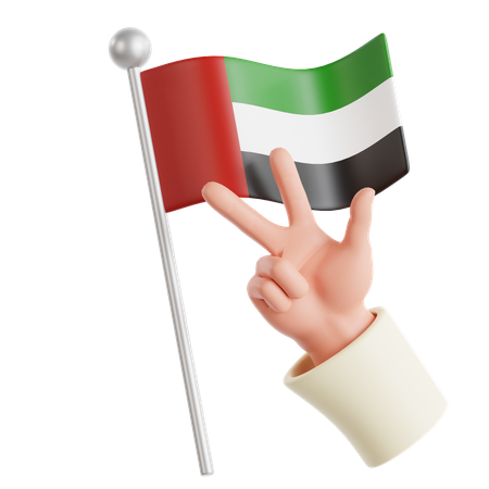 Drapeau des Émirats arabes unis 3  3D Icon