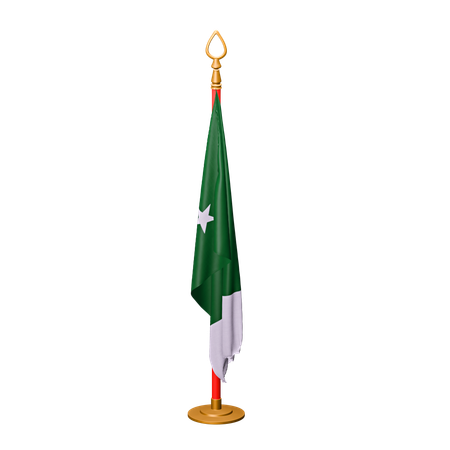 Drapeau pakistanais  3D Icon