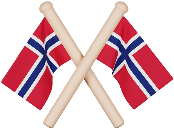 Drapeau de la Norvège  3D Icon