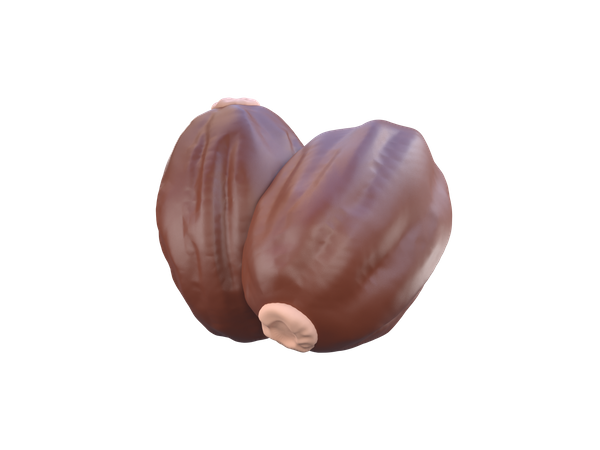 Dried Date  3D Icon