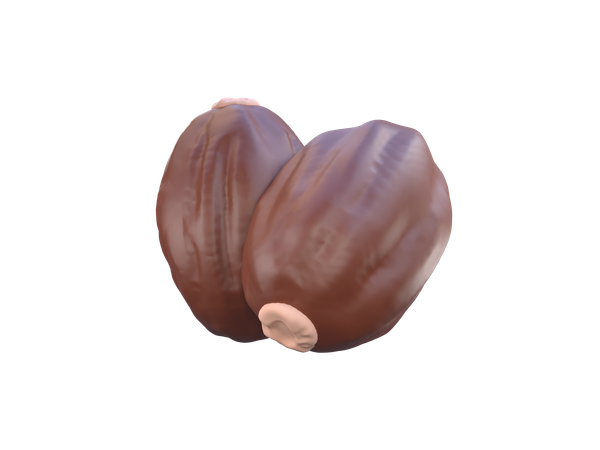 Dried Date  3D Icon