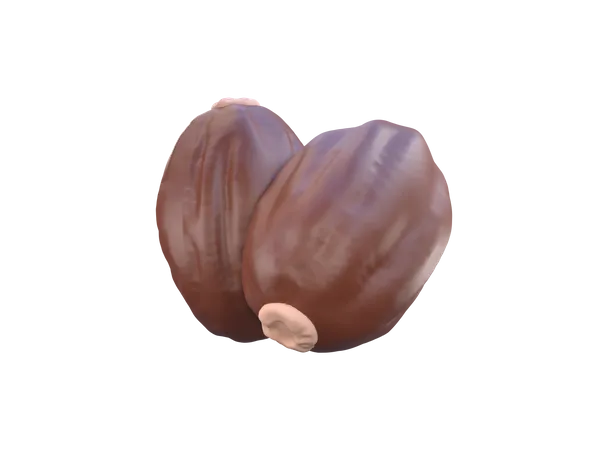 Dried Date  3D Icon