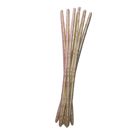 Drumstick  3D Icon