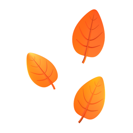 Dry Leaves  3D Icon