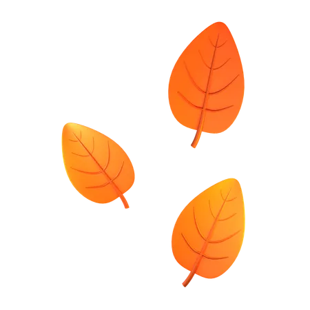 Dry Leaves  3D Icon
