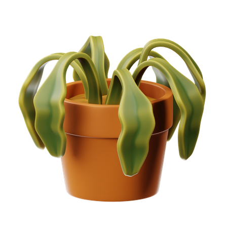 乾燥した植物  3D Icon