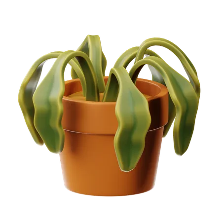 乾燥した植物  3D Icon