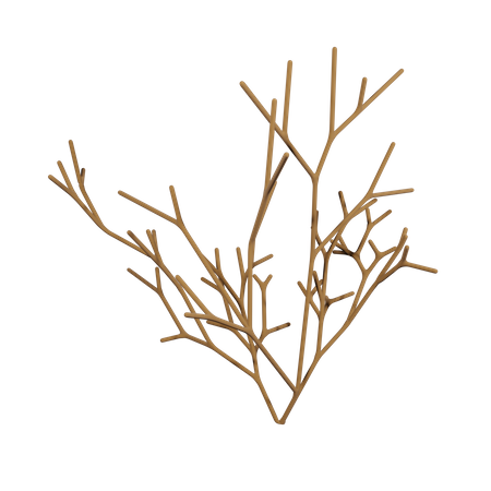 Dry White Bush  3D Icon