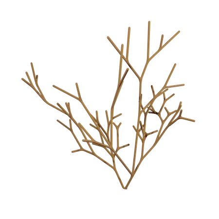 Dry White Bush  3D Icon