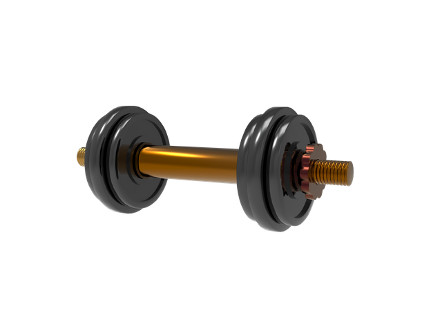 Dumbbells  3D Icon