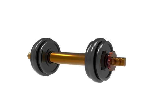 Dumbbells  3D Icon