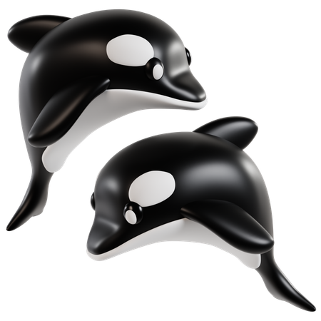 Dúo elegante de orcas  3D Icon