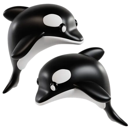 Dúo elegante de orcas  3D Icon