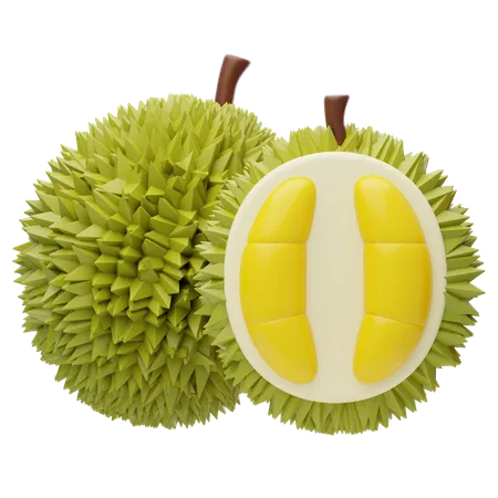 Durian 3 D Icon Asian Tropical Fruit 3D Icon