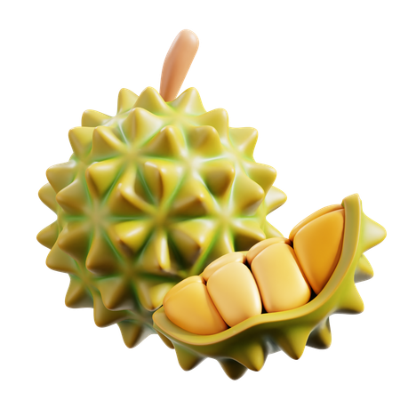 Durian  3D Icon