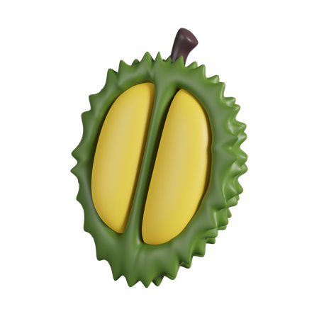 Durian  3D Icon