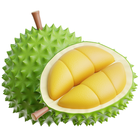 Durian  3D Icon