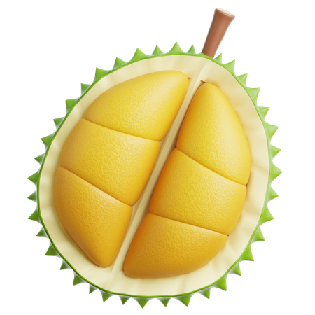 Durian  3D Icon