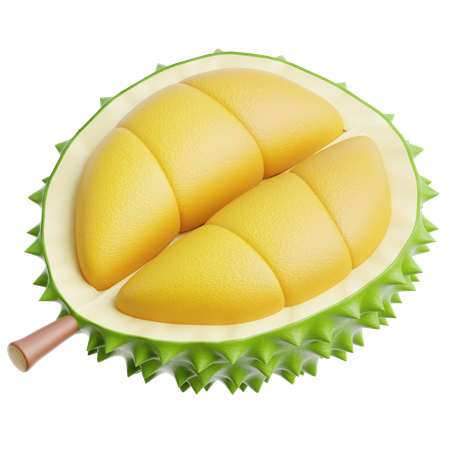 Durian  3D Icon