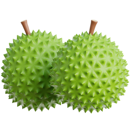 Durian  3D Icon