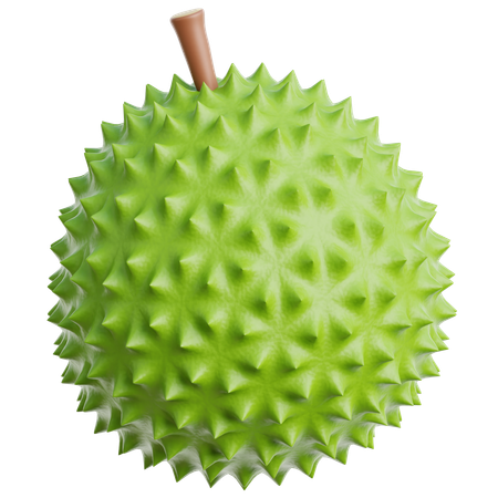 Durian  3D Icon