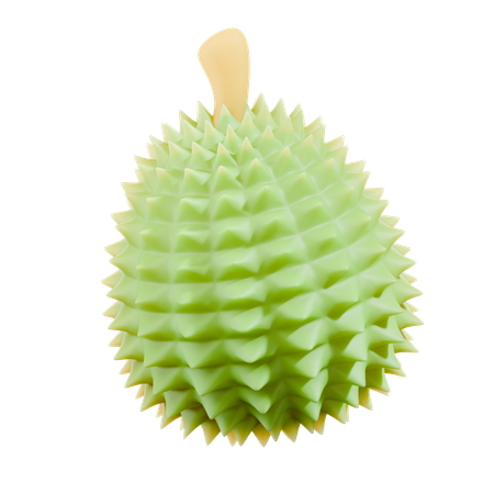Durian  3D Icon