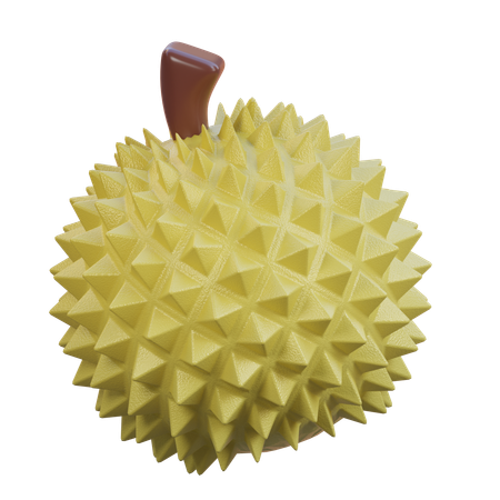 Durian  3D Icon