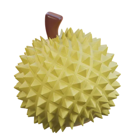 Durian  3D Icon