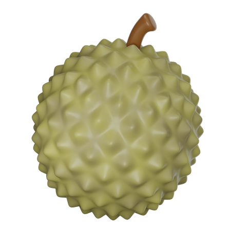 Durian  3D Icon