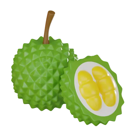 Durian  3D Icon