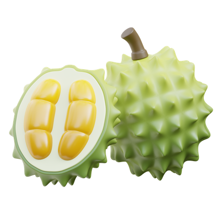 Durian  3D Icon