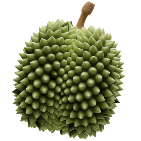 Durian  3D Icon