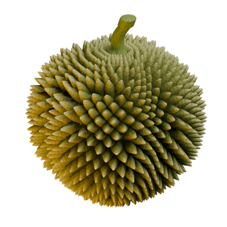 Durian  3D Icon