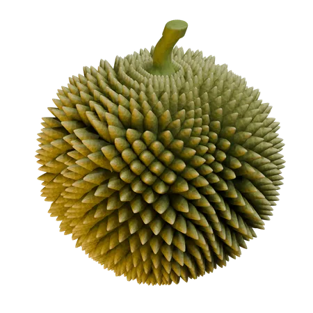 Durian  3D Icon