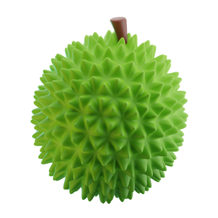 Durian  3D Icon