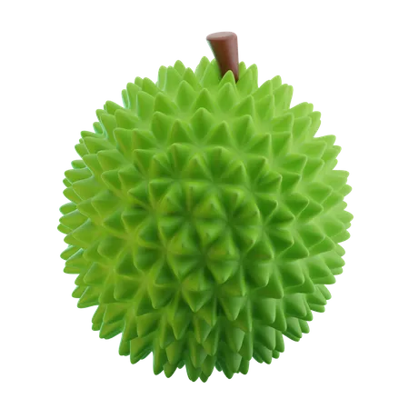 Durian  3D Icon